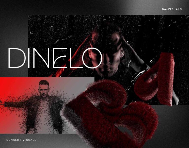 Dinelo Portfilio Cover